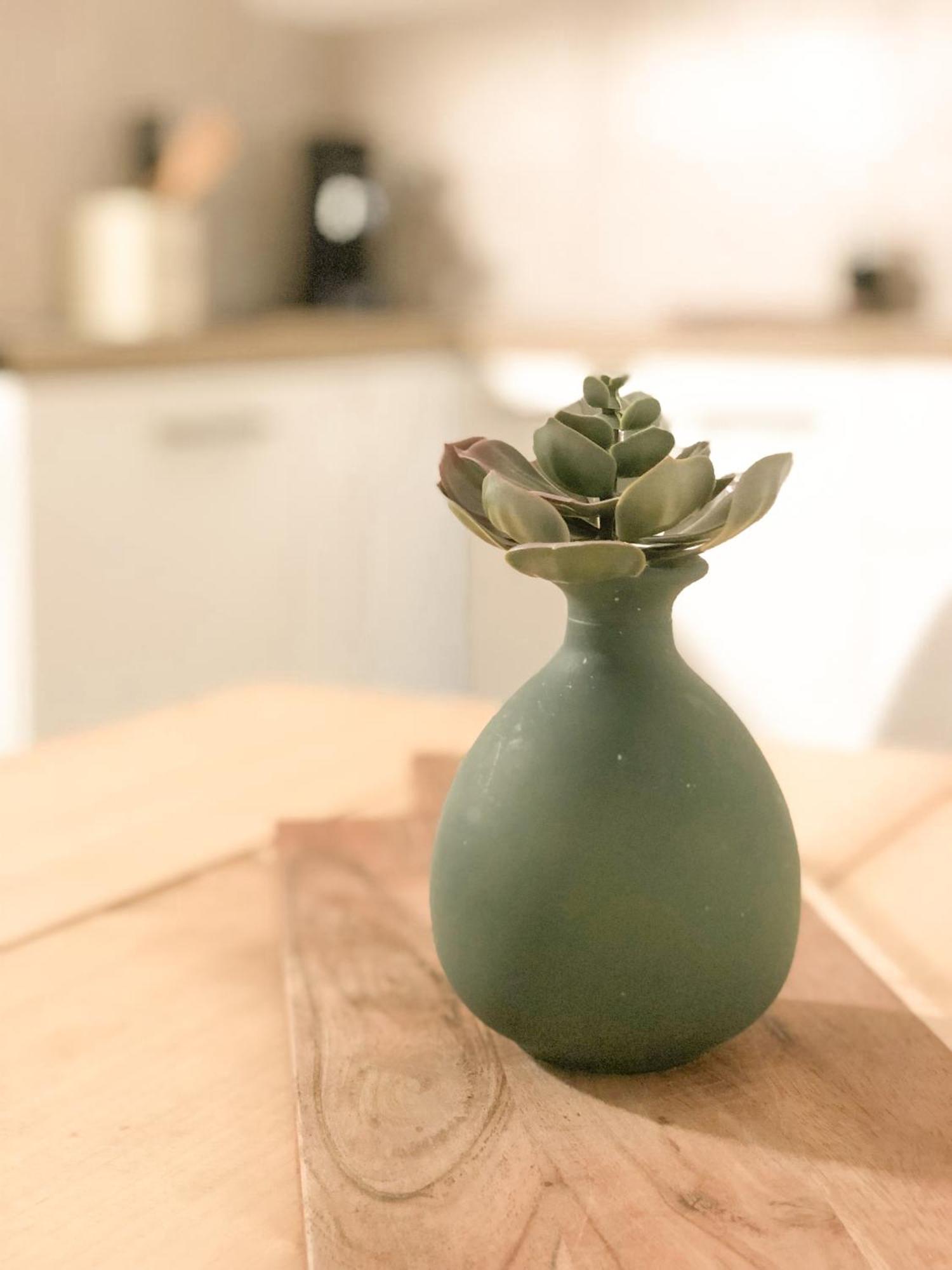 Le Studio Du Coutach Quissac  Ngoại thất bức ảnh